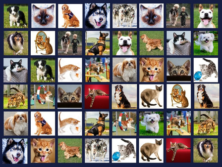 Memory Lost-Pairs - Animals