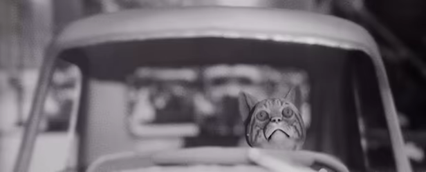 Cat Detective Albert Wilde video 1