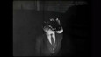 A screenshot of Cat Detective Albert Wilde