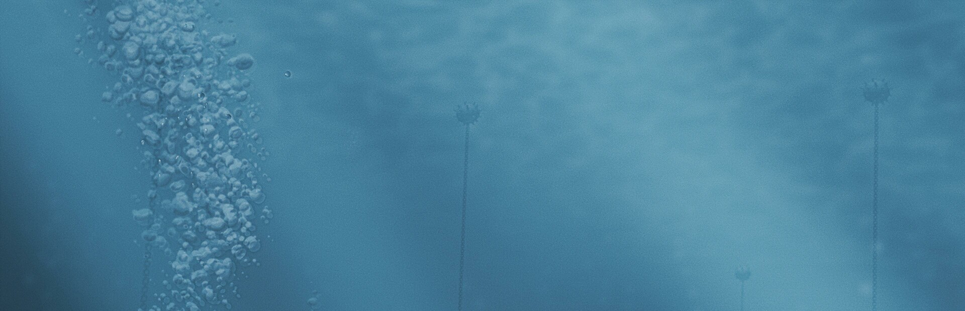 《水之城(Aquatico)》1.600.0