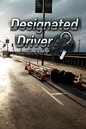 Designated Driver Simulator — обложка
