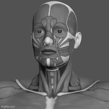 Pose Tool 3D Pro video 5
