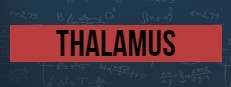 Thalamus