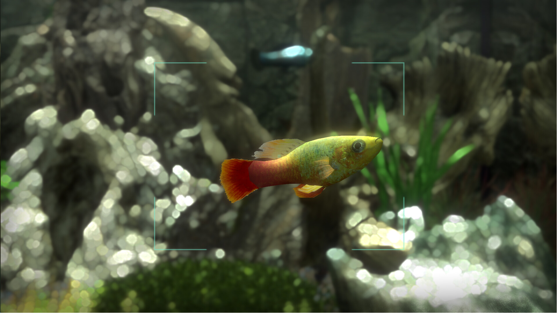 Snapshot Aquarium screenshot #8