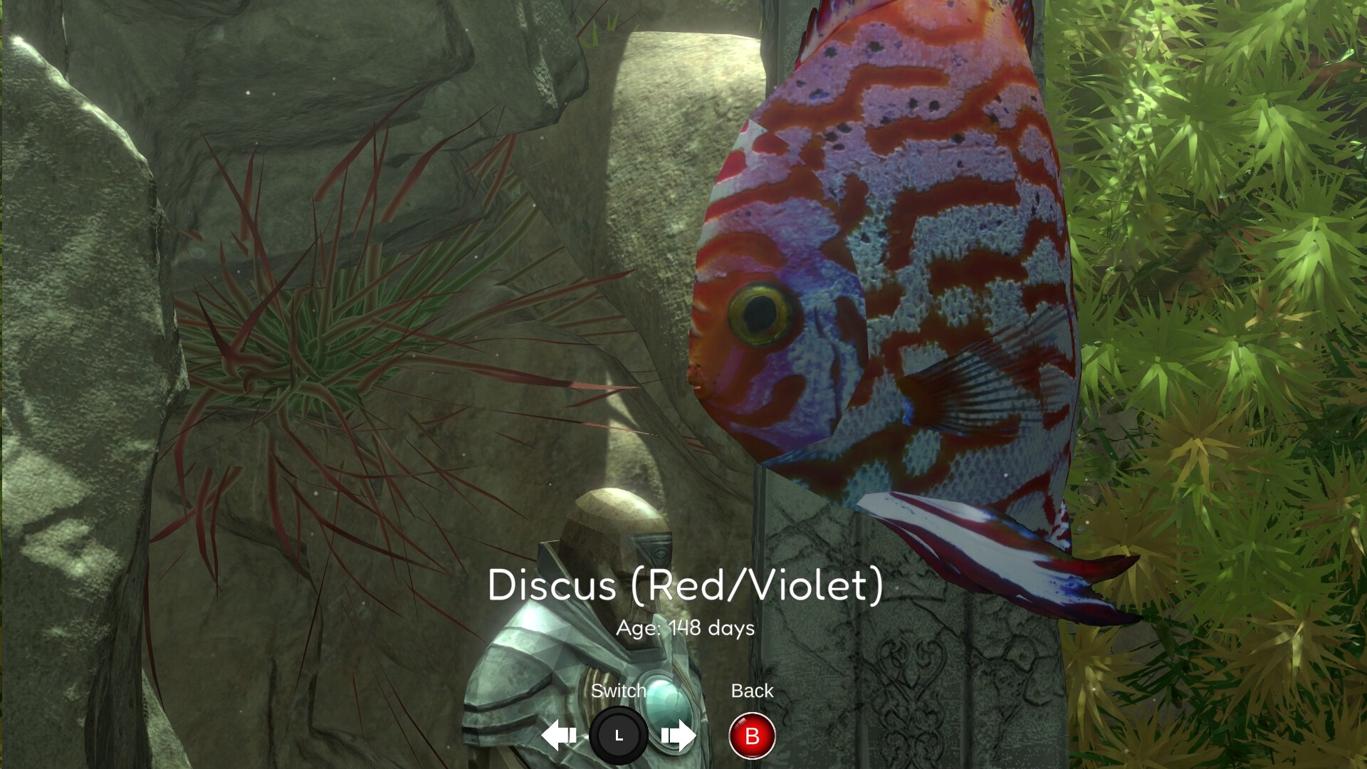 Snapshot Aquarium screenshot #4