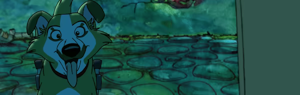 Stars In The Trash video 4
