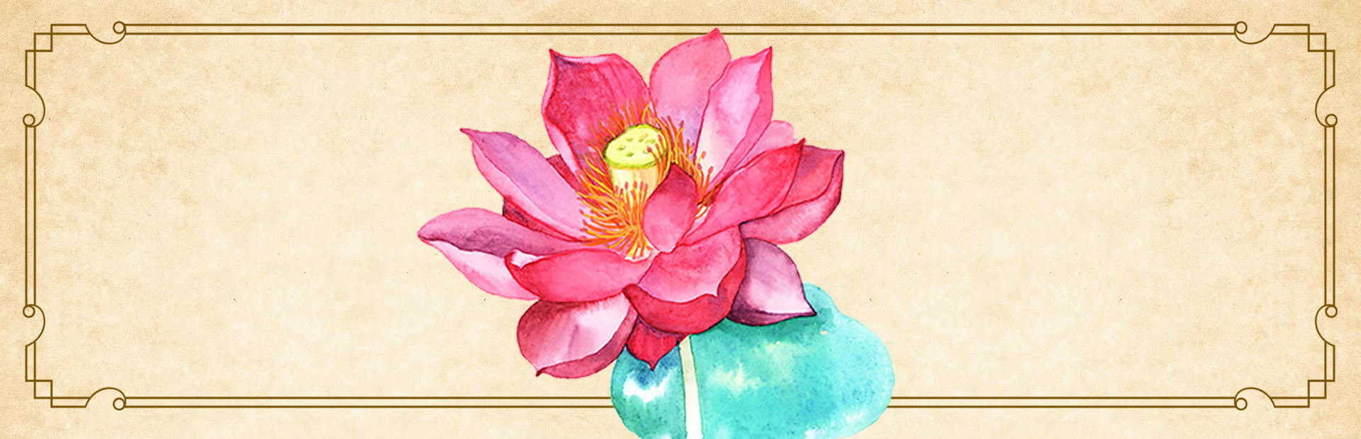 一花一世界 | The Lotus