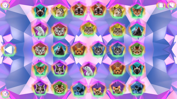 Скриншот 1 из игры Poly Memory: Cats