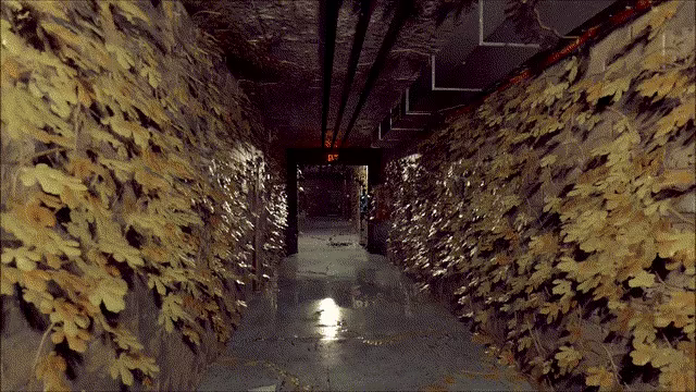 ALONE video 2
