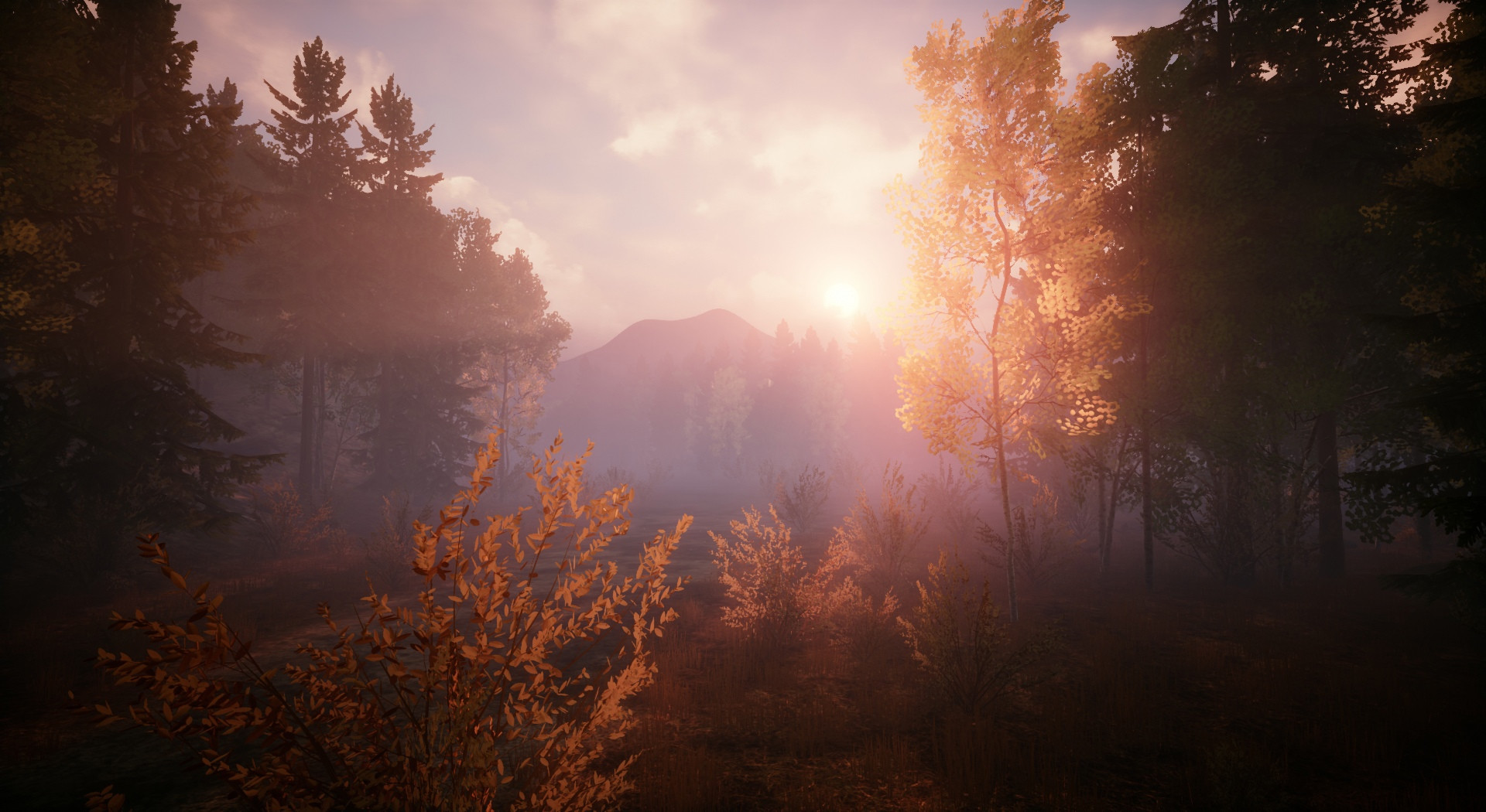 CHEMISTS: Area of infection screenshot 12