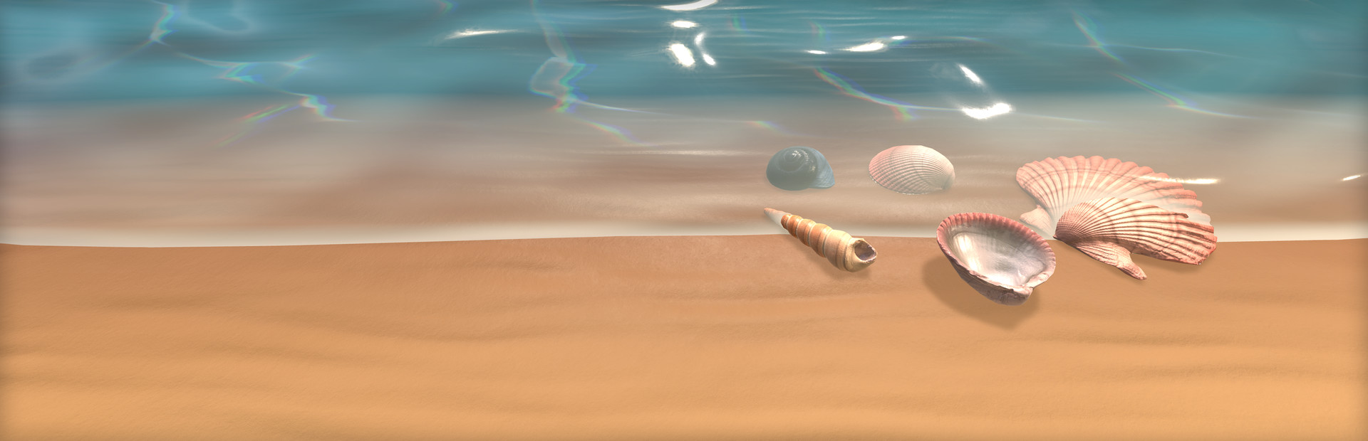Seashell