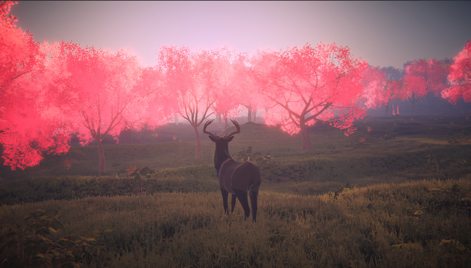 Legacy: the last pure heart