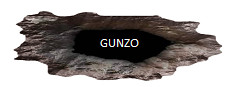 GUNZO!