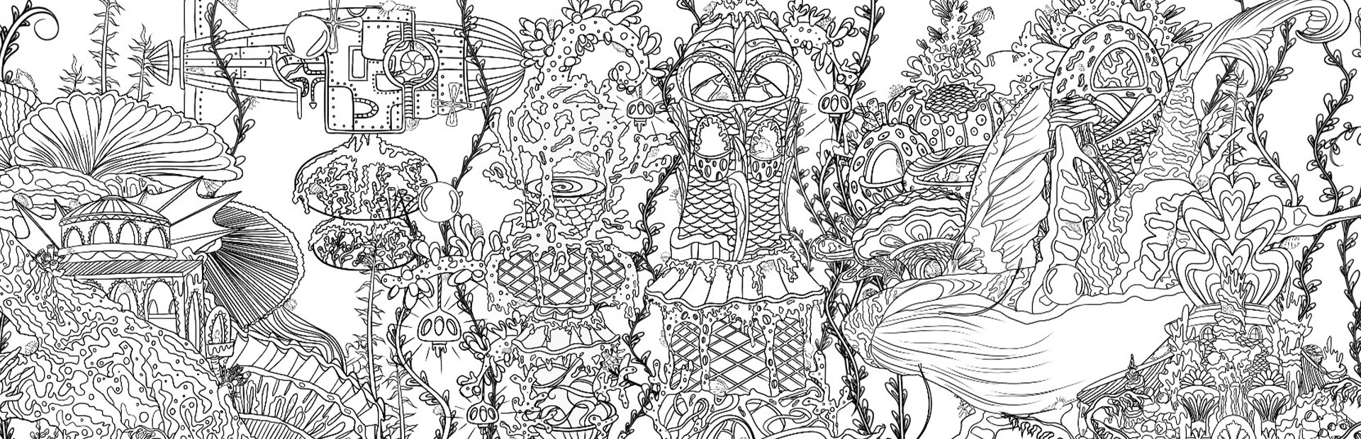 SEARCH ALL - SEASHELLS