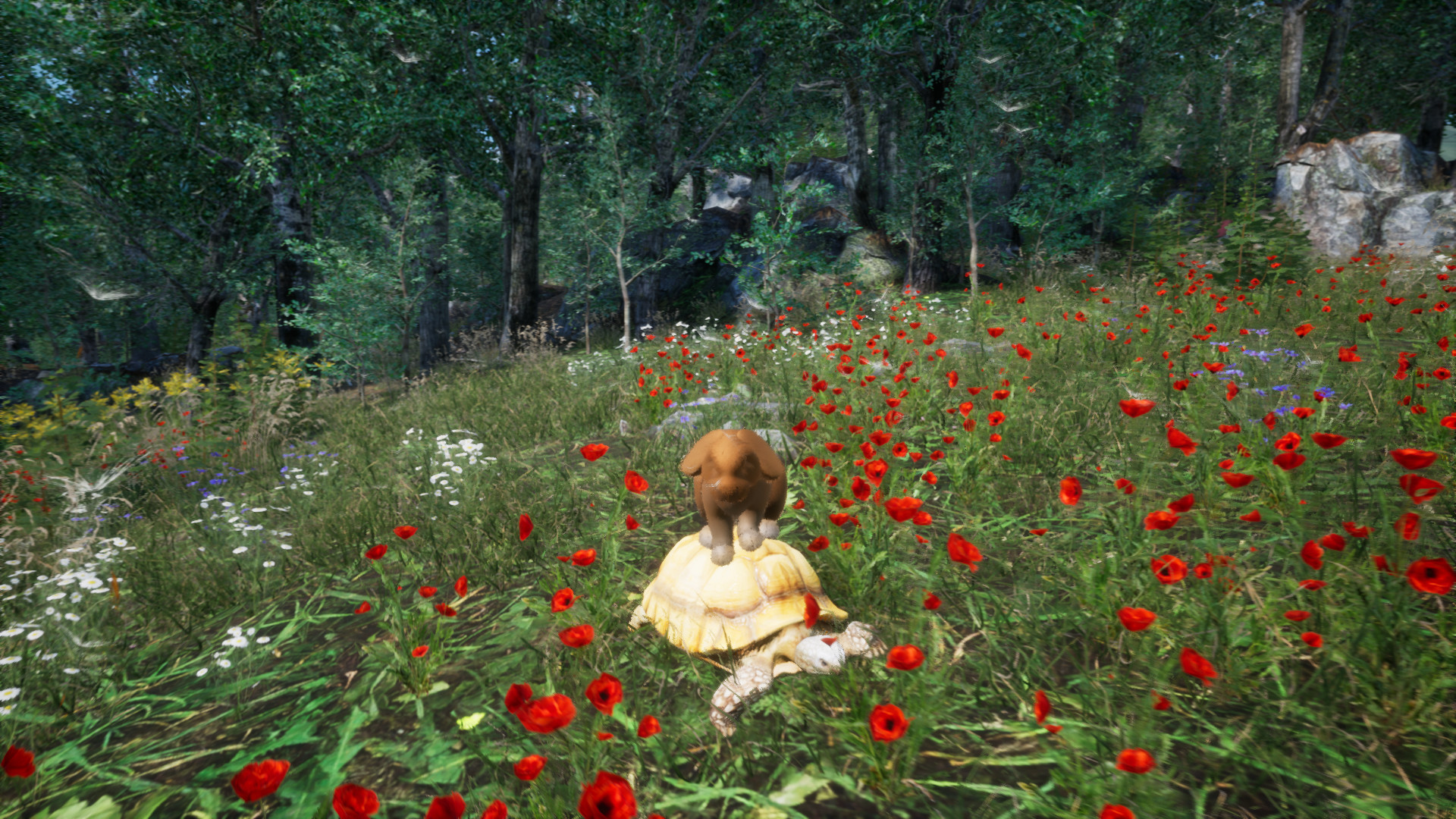 #3. Rabbit Meadow (Steam) 来自: ArcRadius