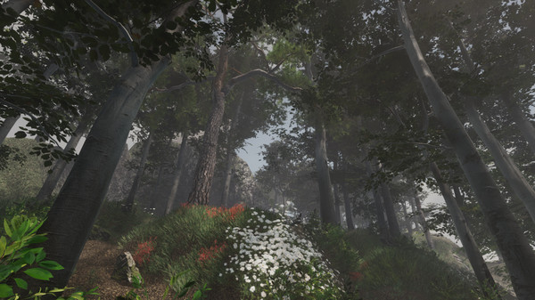 Broken screenshot 4