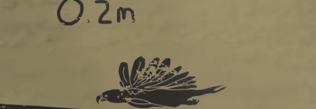 Apoceus video 6