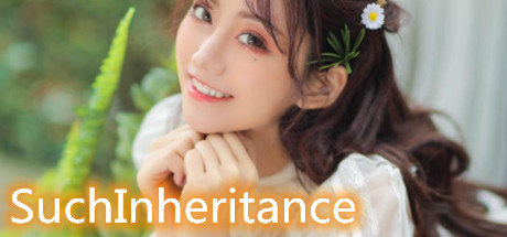SuchInheritance cover art