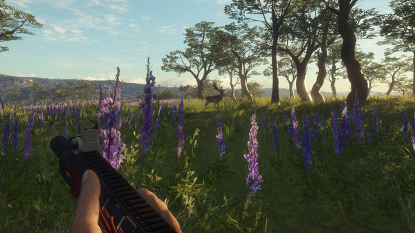 screenshot6