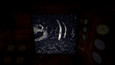Screenshot #1