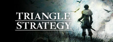 TRIANGLE STRATEGY