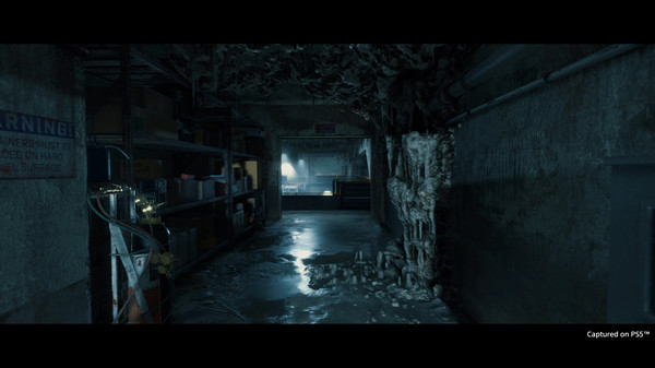 死亡搁浅 导演剪辑版-游戏截图