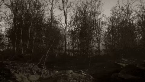 ItLivesInTheWoods video 3