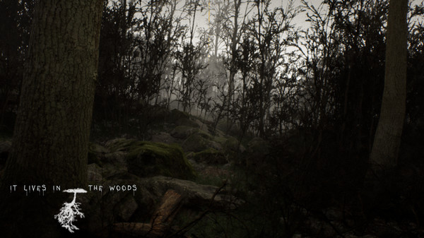 ItLivesInTheWoods screenshot 1