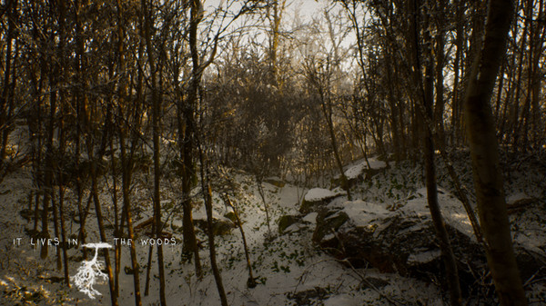 ItLivesInTheWoods screenshot 2