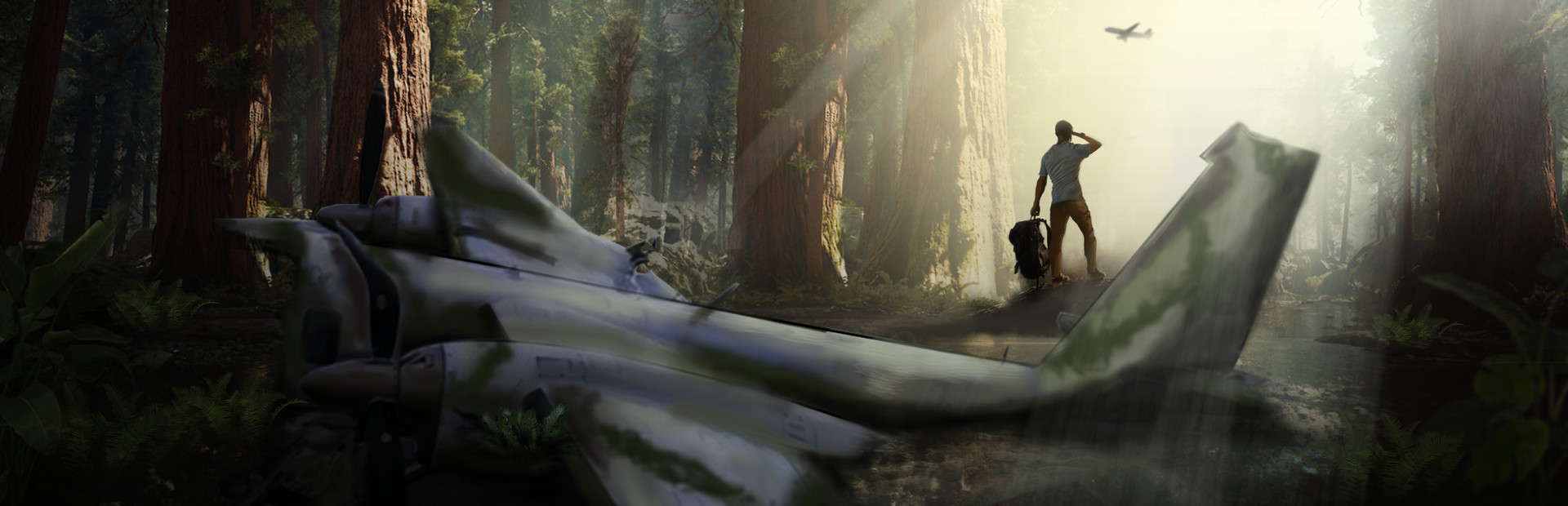 Missing Plane: Survival