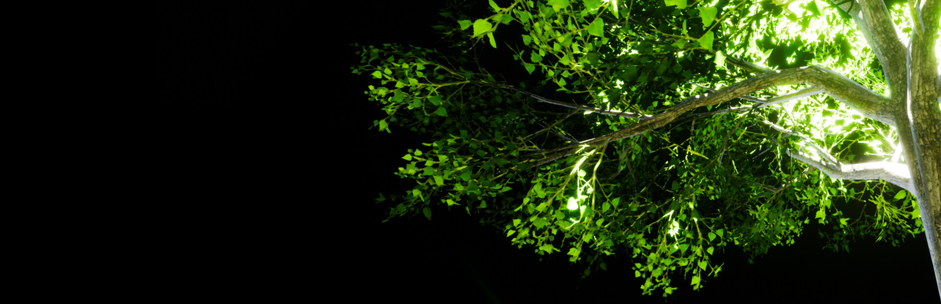 Labyrinth of Light
