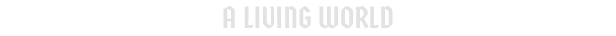 Norland image