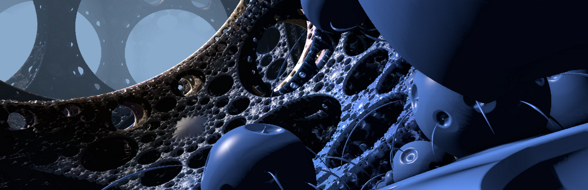 Fractal Fly