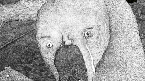 Screenshot z OFFERING APP