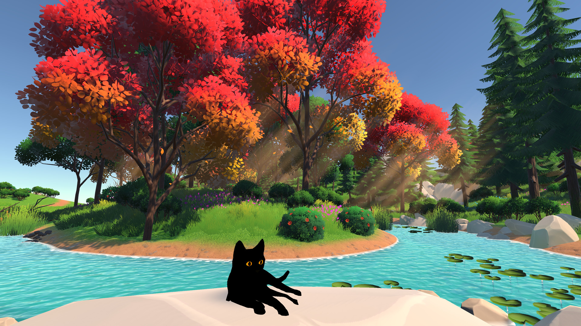 The Family Cat Featured Screenshot #1