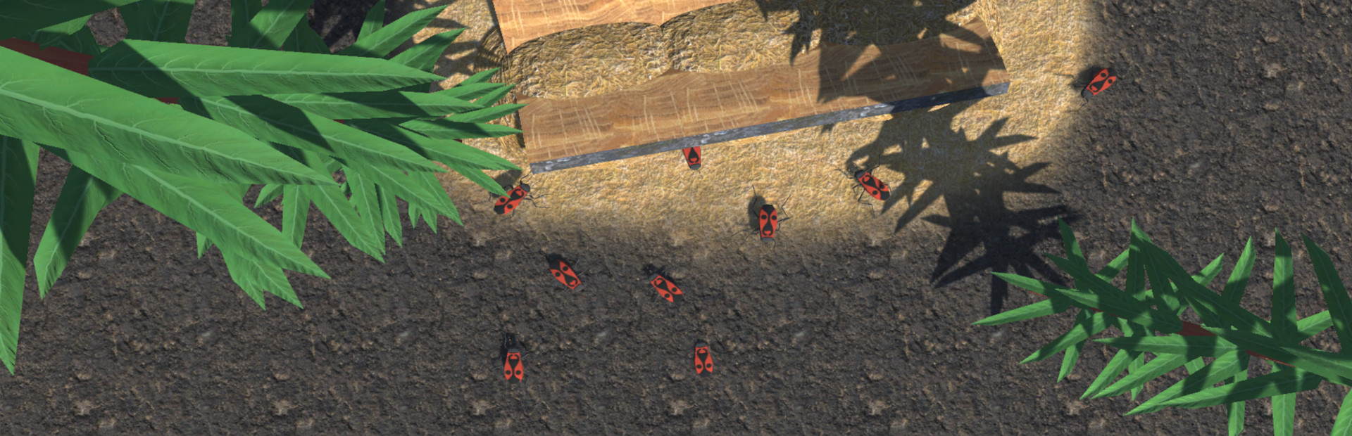 Insect Simulator