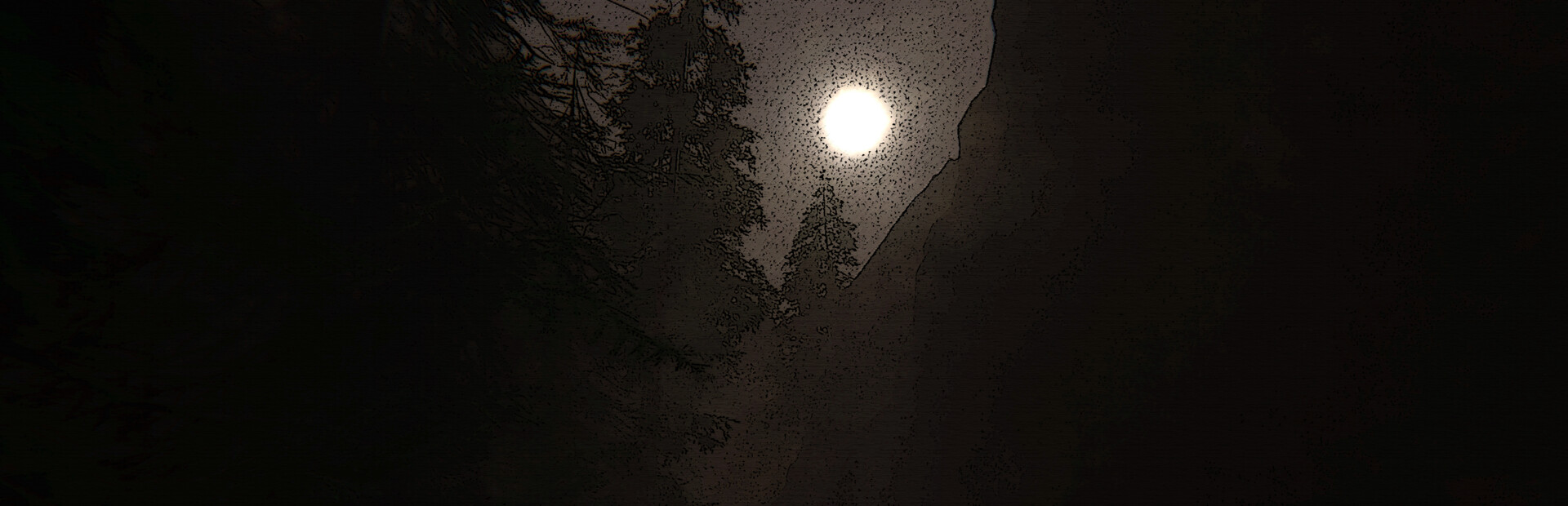 The Hike