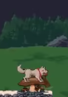 Wolf of the Mountain video 1