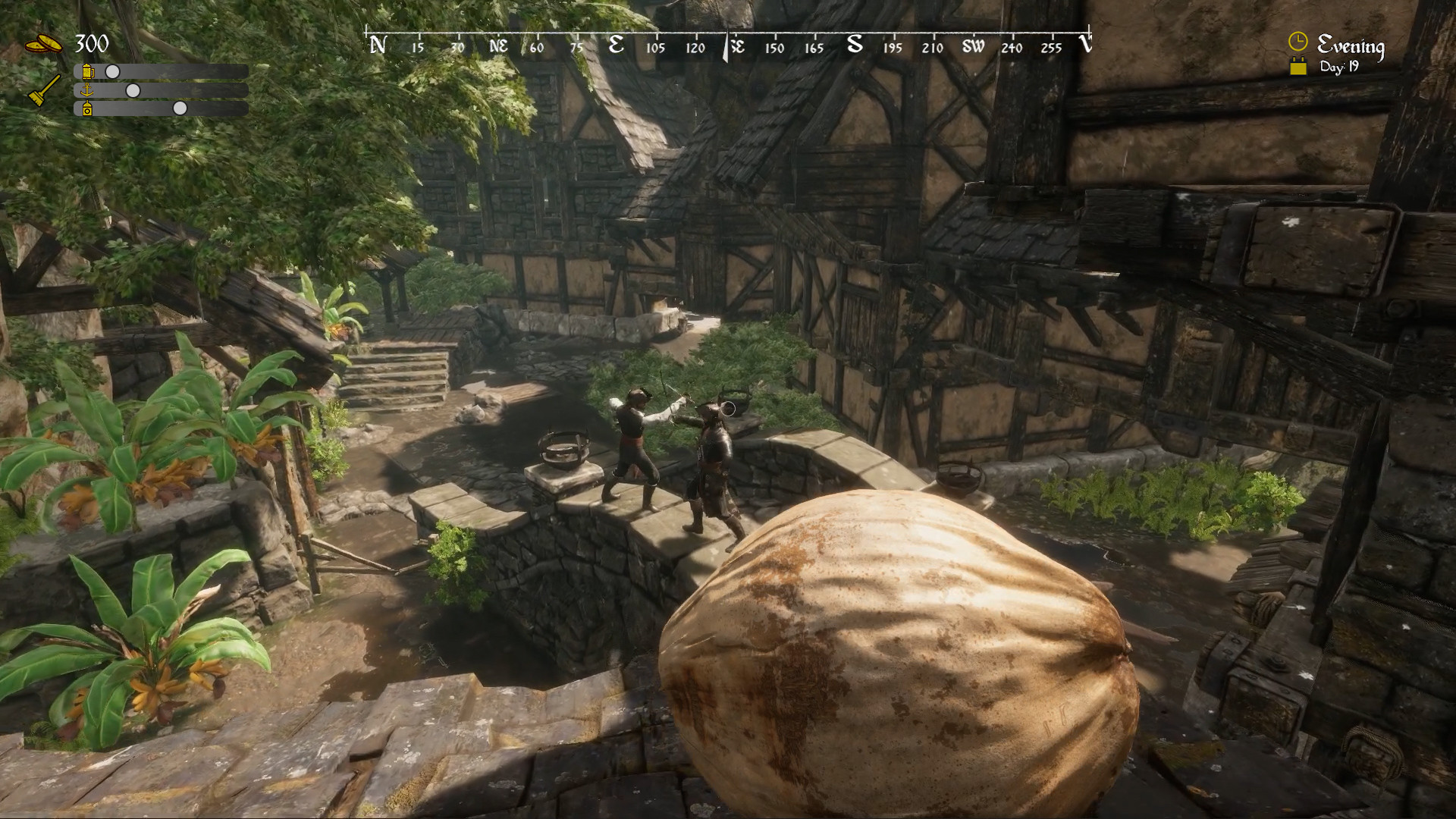 Pirate's Den Renovator screenshot #6