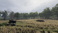 Screenshot #18