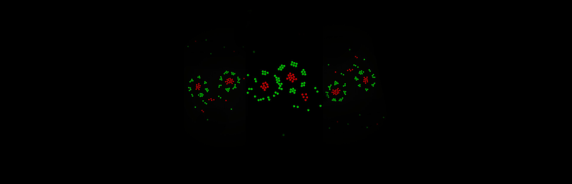 Physics of life simulator