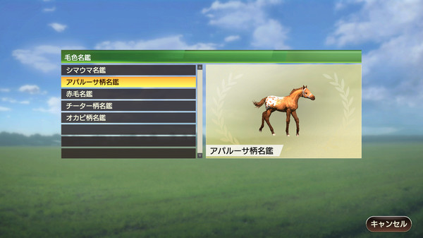 WP9 2022 毛色名鑑セット(5種)