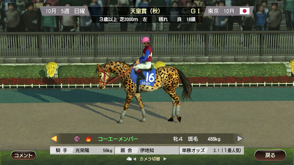 WP9 2022 毛色名鑑セット(5種)