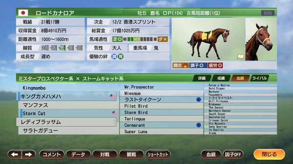 WP9 2022 世界への飛翔 購入権セット 全4頭