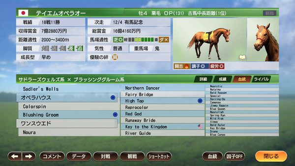 WP9 2022 最強古馬 購入権セット 全2頭