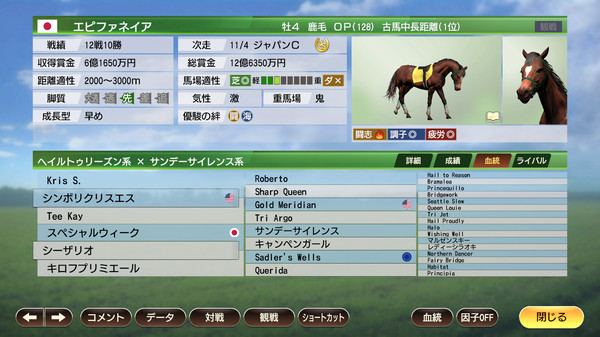 WP9 2022 次代へ続くライバル関係 購入権セット 全2頭