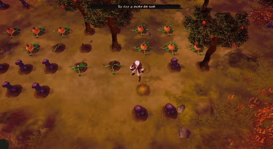NecroFarm video 2