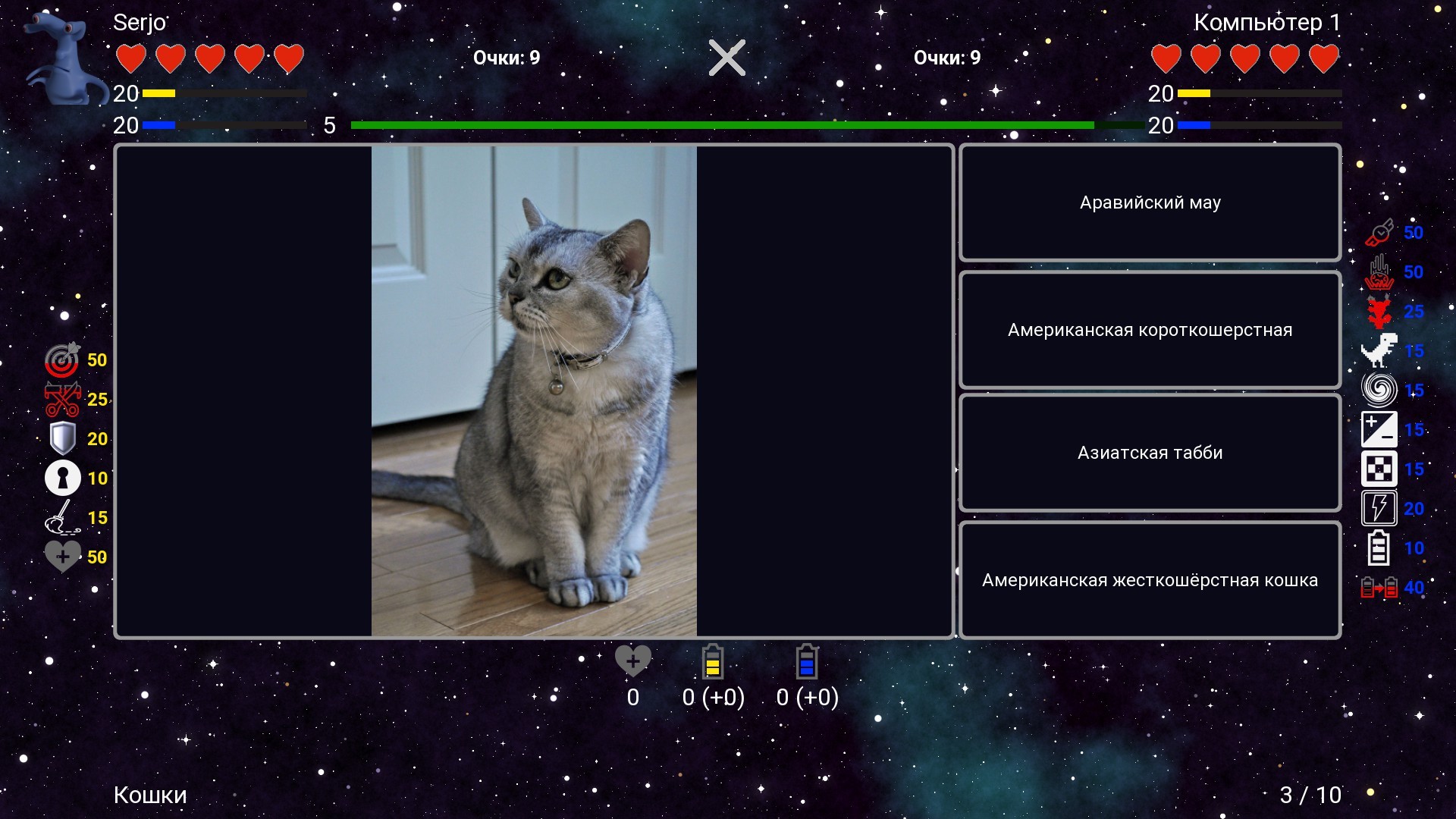 I've Seen Everything - Cats