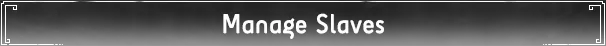 ‌Manage Slaves‌