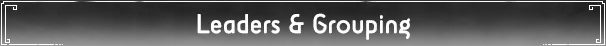 ‌Leaders & Grouping‌